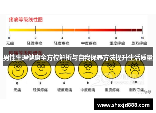 男性生理健康全方位解析与自我保养方法提升生活质量